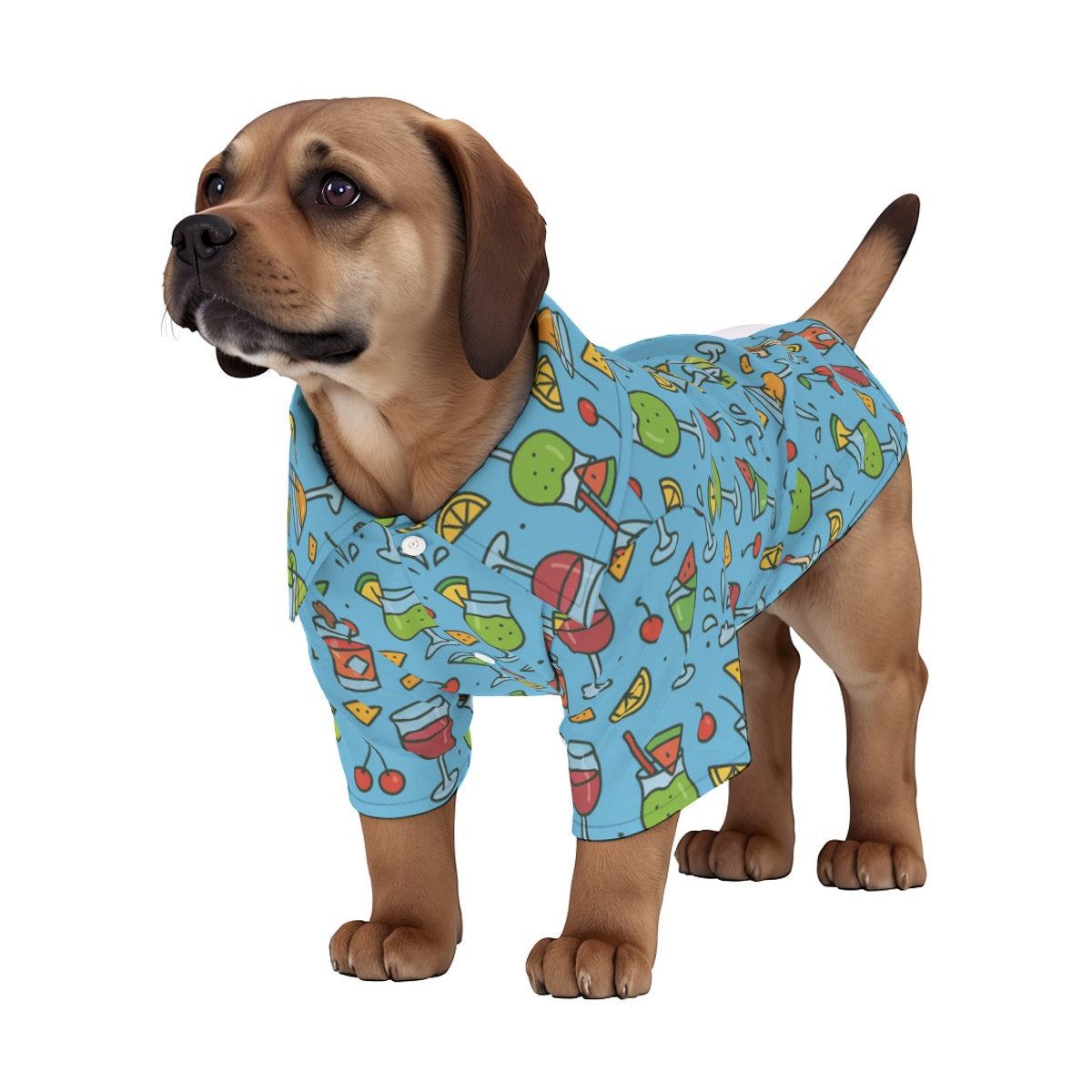 Cheers From the Pool Deck Pet's Hawaiian Shirt - Blue Pool Drinks Pattern for Cruise Vacations