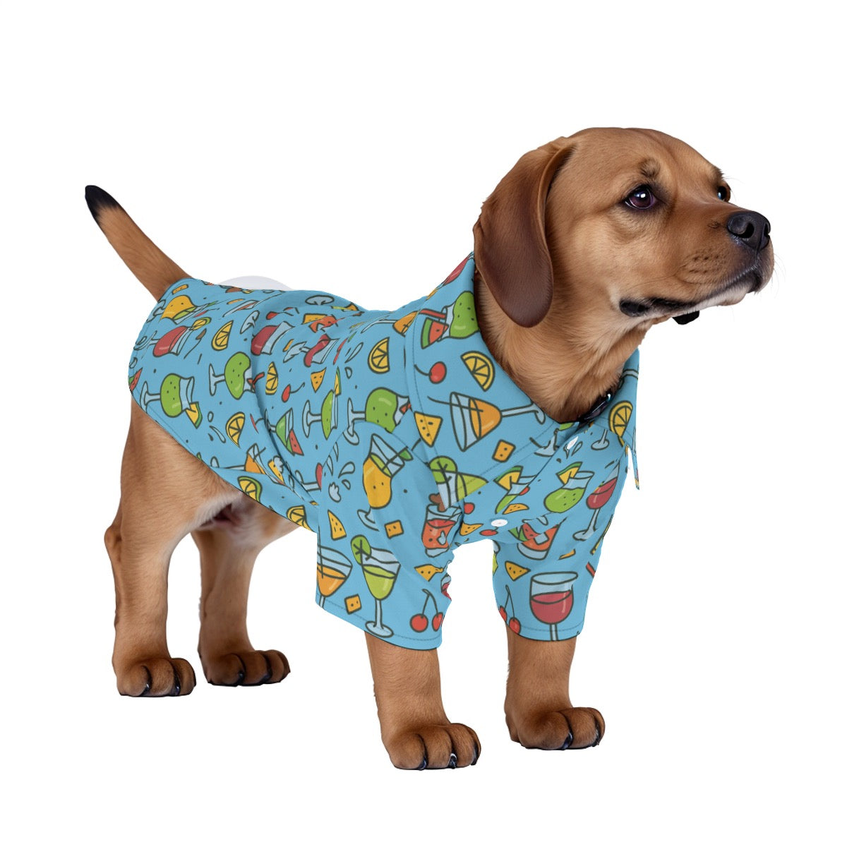 Cheers From the Pool Deck Pet's Hawaiian Shirt - Blue Pool Drinks Pattern for Cruise Vacations
