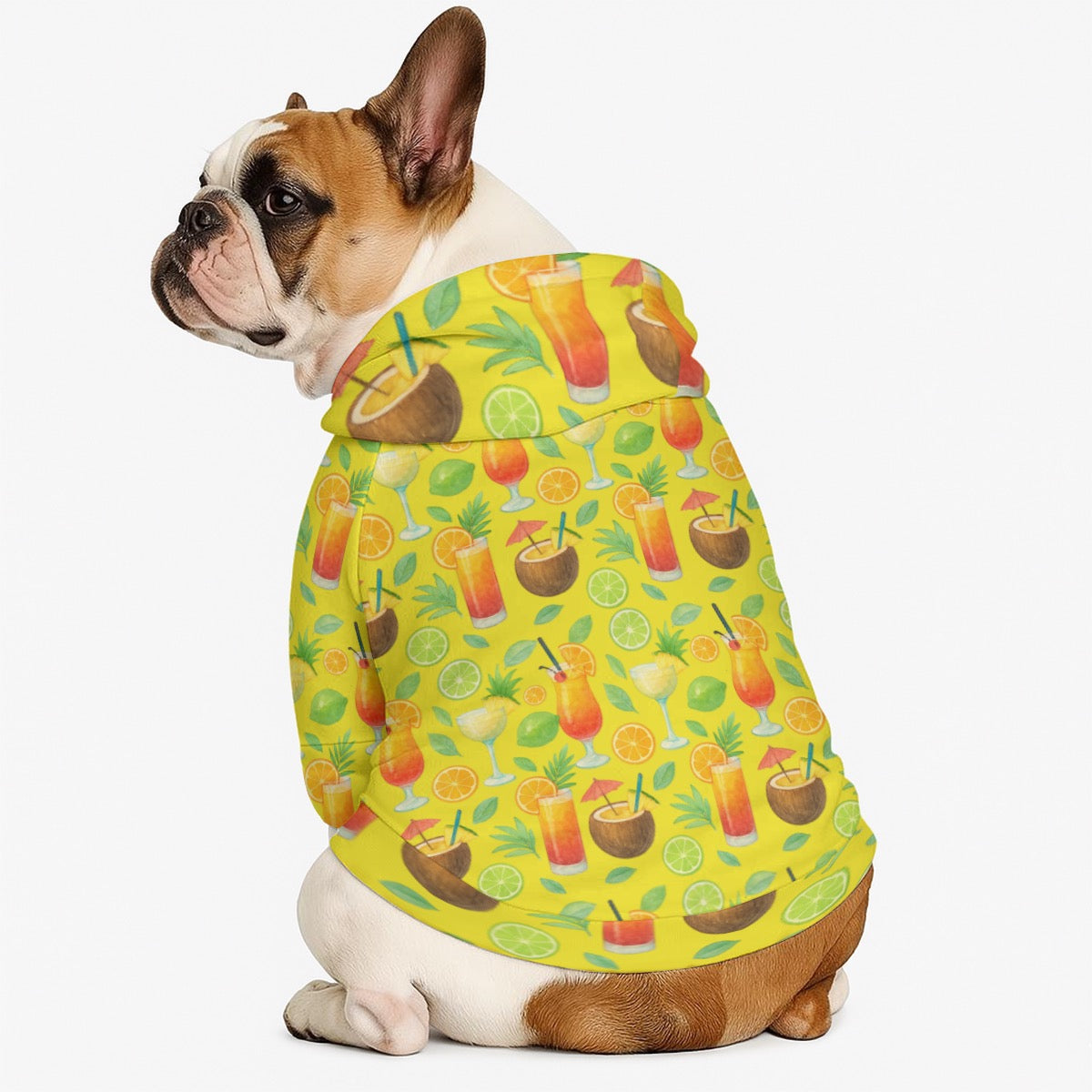 Matching Hooded Sweatshirt for Owner & Pet - 310GSM Cotton Tropical Print for Cruises Vacations